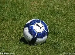 邵佳一,岁独占鳌头,率队逼平联,OD体育首页,OD体育官方网站,OD体育平台,OD体育